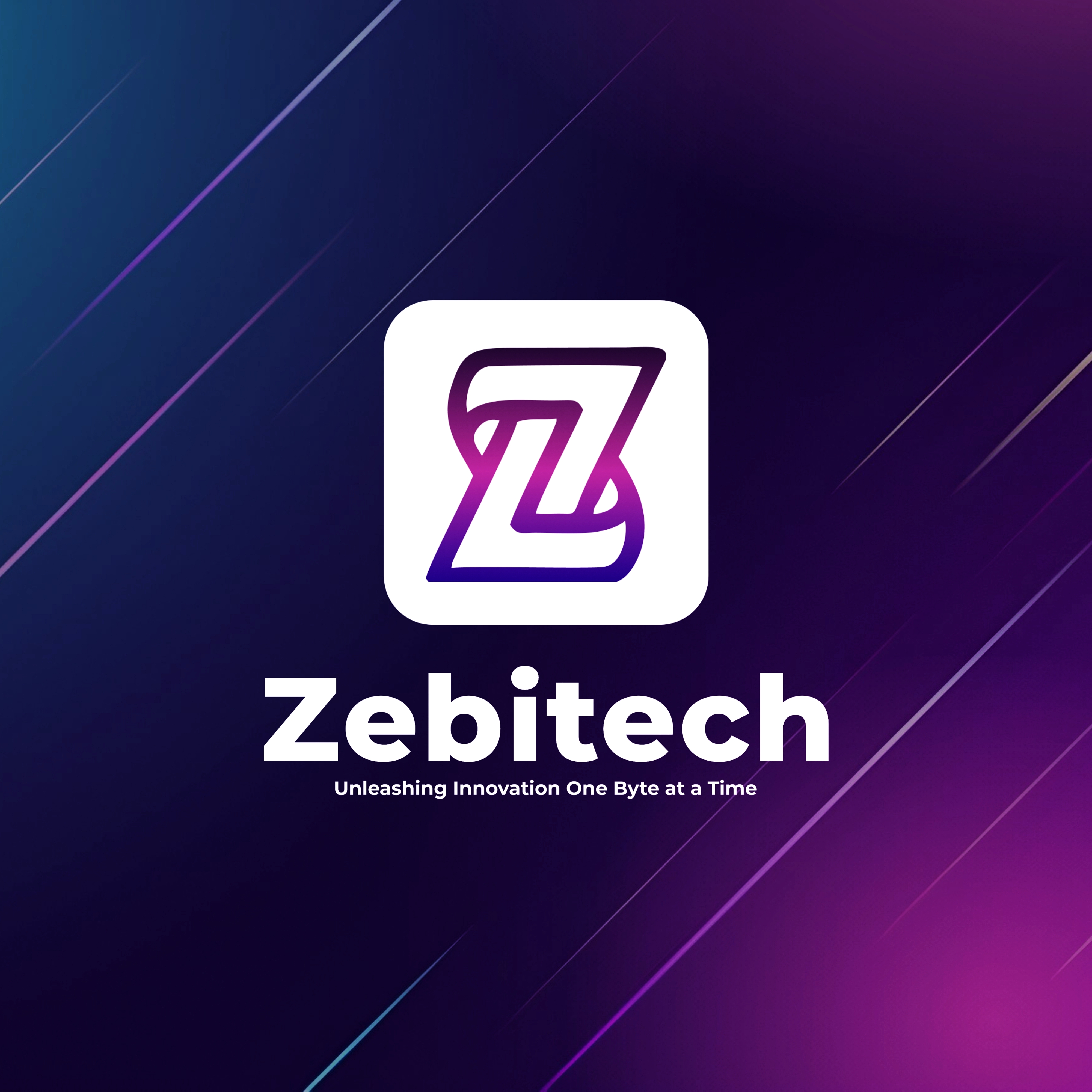 Zebitech Exams